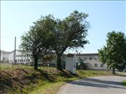 dolni_trebonin-003
