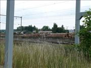 holoubkov-013