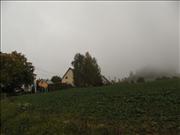 jedli-006