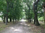 jevisovice-017