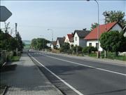 jicineves-003