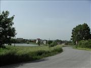 jicineves-005