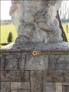 kresice-019