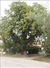 opatovice-031