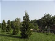 radvanice-009