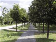rajhrad-016