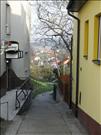 stary_jicin-005