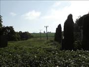 tucapy-015