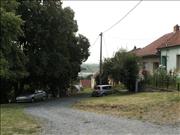 vinicne_sumice-001