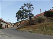 vinicne_sumice-004