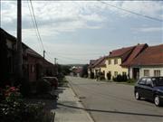 vinicne_sumice-007